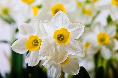 《使命召唤：现代战争2》举行免费周末 多平台促销开启